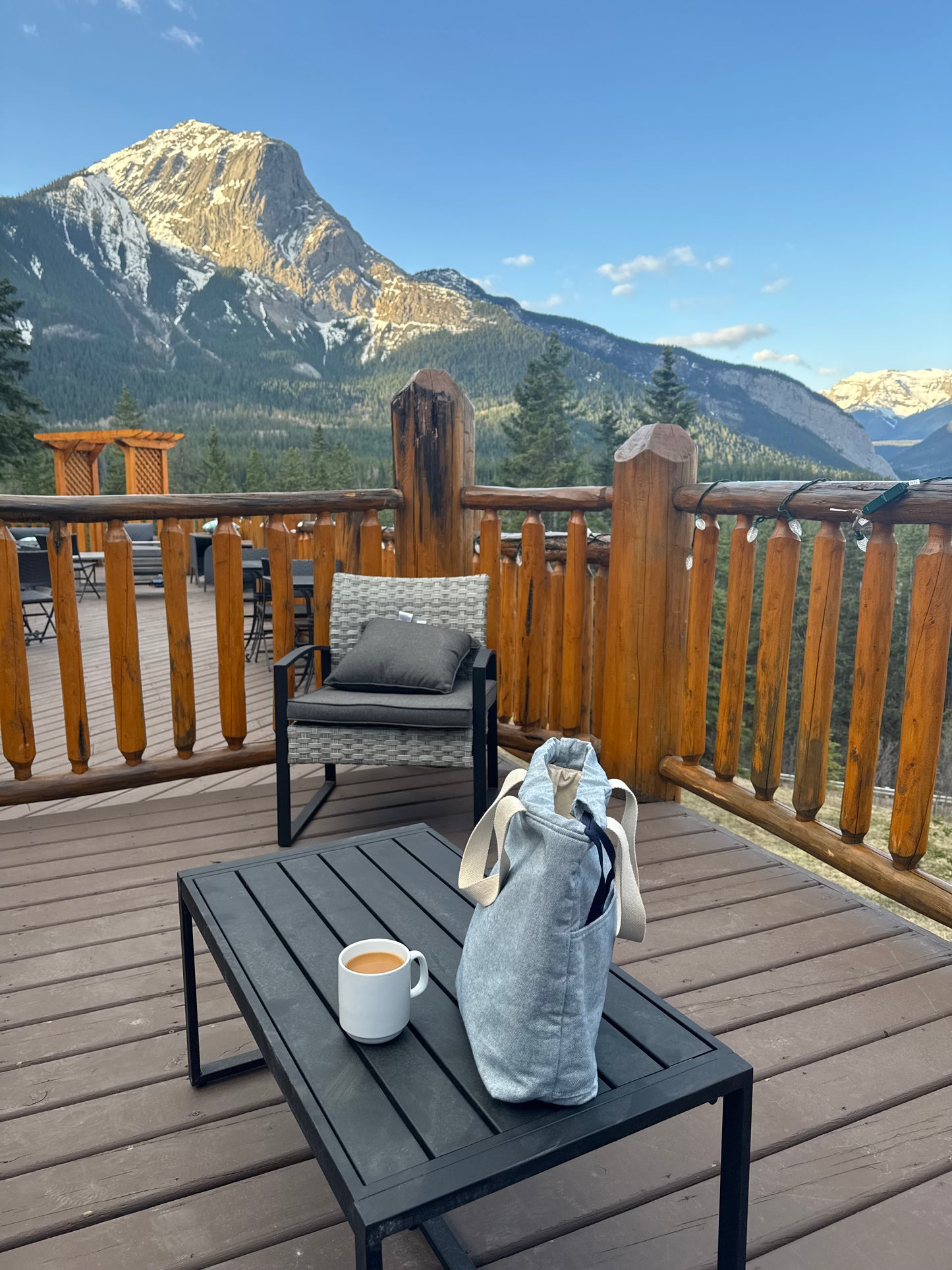 Twin Stitches Designs Mountain Knitting Retreat